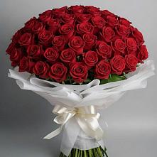 Букет 101 Красная роза Блэк Мэджик #REPLACE_PRED# Чемал
