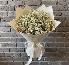 Букет цветов из:  Ромашки в Чемал