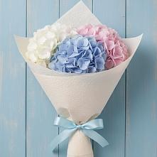 Букет цветов из:  Гортензия в Чемал