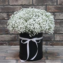 Цветочная композиция из Гипсофила в шляпной коробке в Чемал