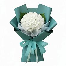 Букет цветов из:  Гортензия #REPLACE_PRED# Чемал